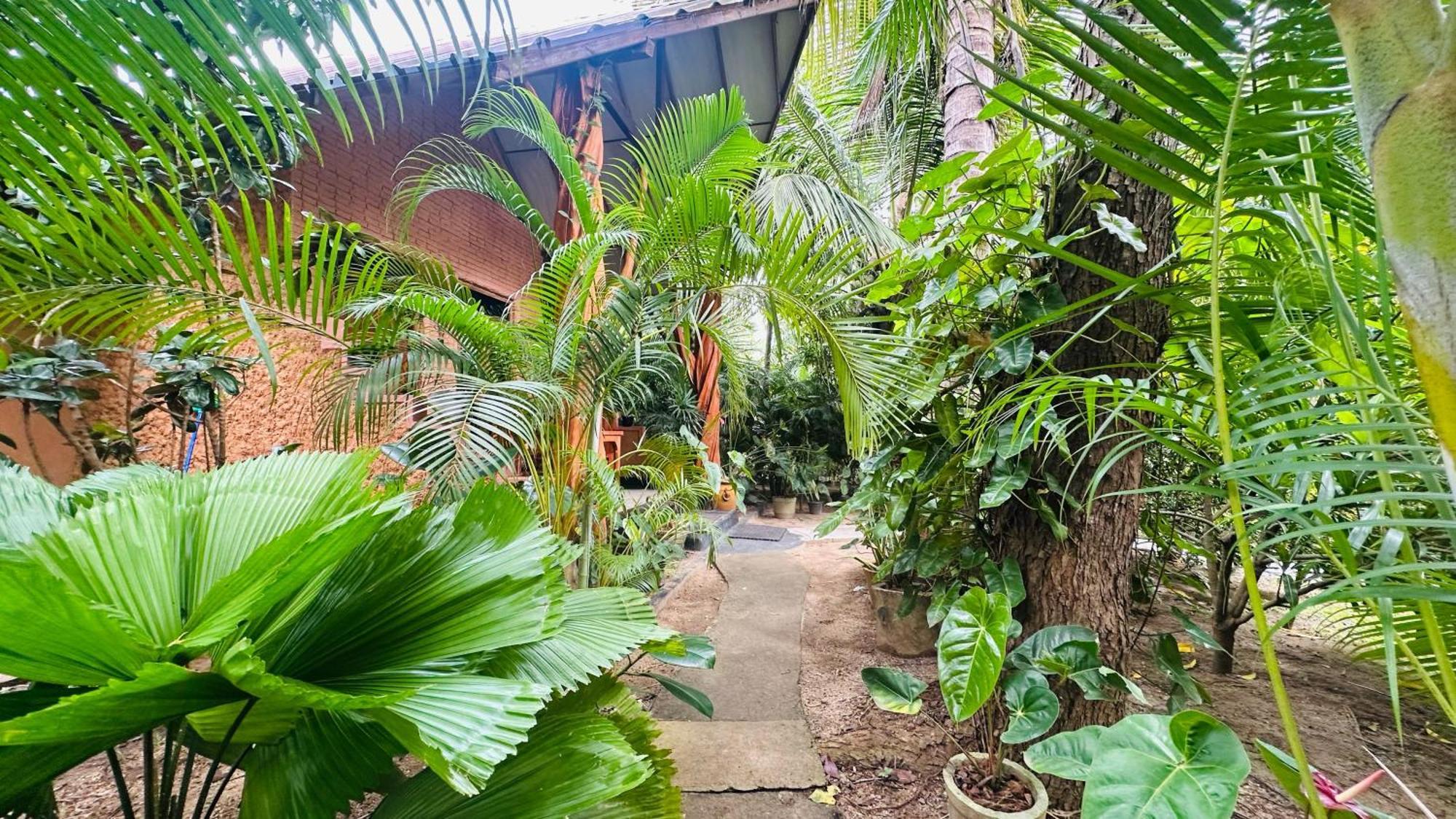 Ama Eco Lodge 시기리야 외부 사진