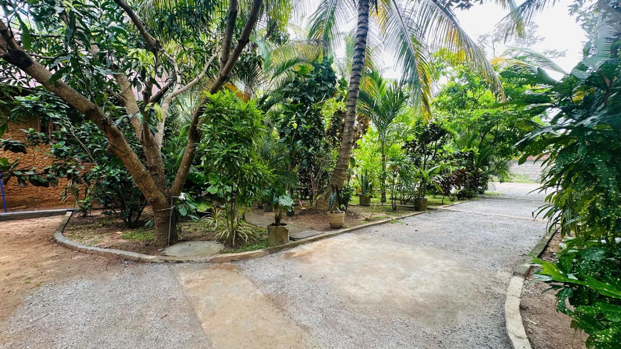 Ama Eco Lodge 시기리야 외부 사진