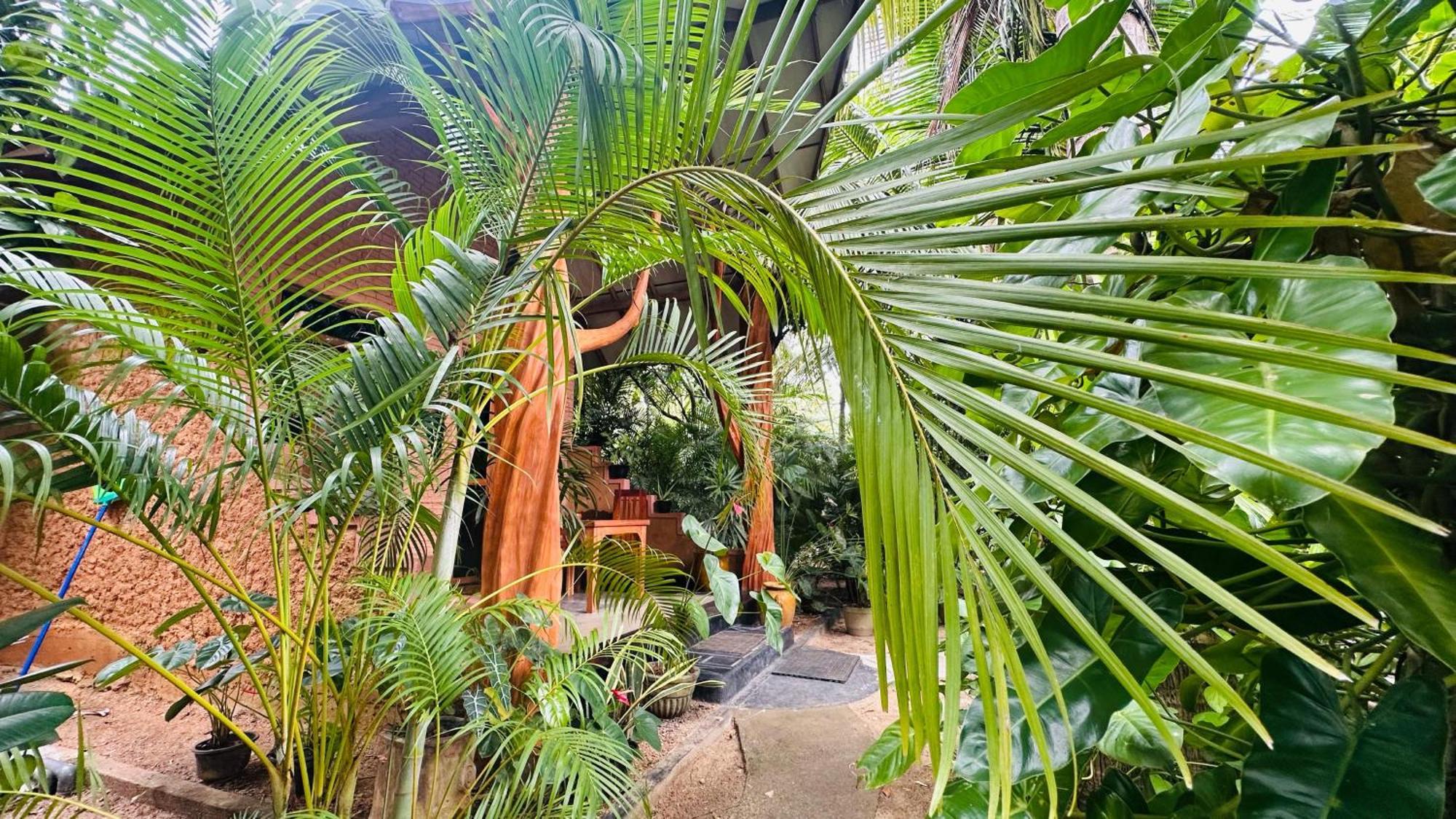 Ama Eco Lodge 시기리야 외부 사진